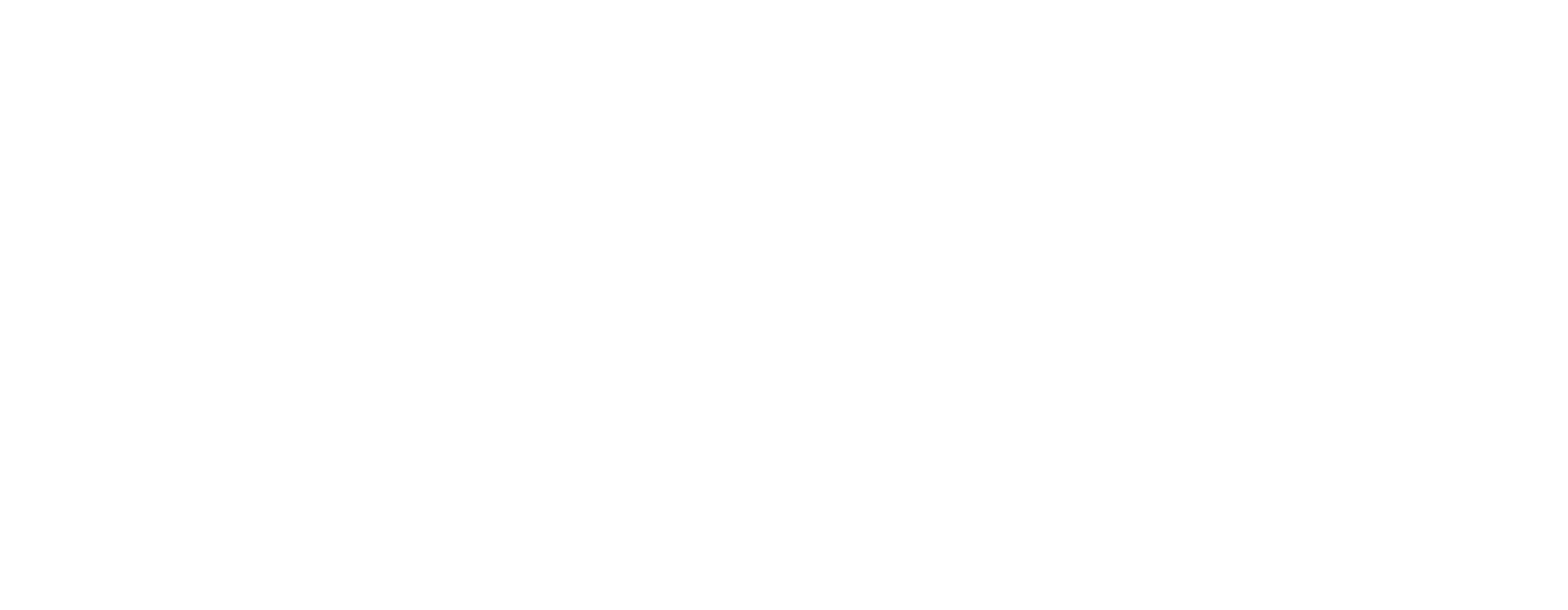 Logo DICTADOR GAME CHANGER white